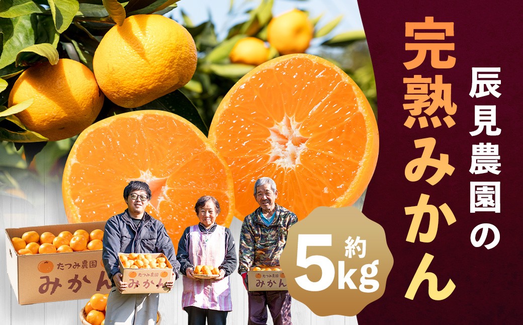 
                  L90x1 辰見農園の完熟みかん　５ｋｇ　みかん ミカン 蜜柑 温州みかん 完熟みかん 甘熟 柑橘 有機栽培 国産 こだわり ノーワックス 贈答品 産地直送 詰め合わせ 佐賀県産 太良町 【2026年10月下旬-2027年3月下旬発送予定】
                