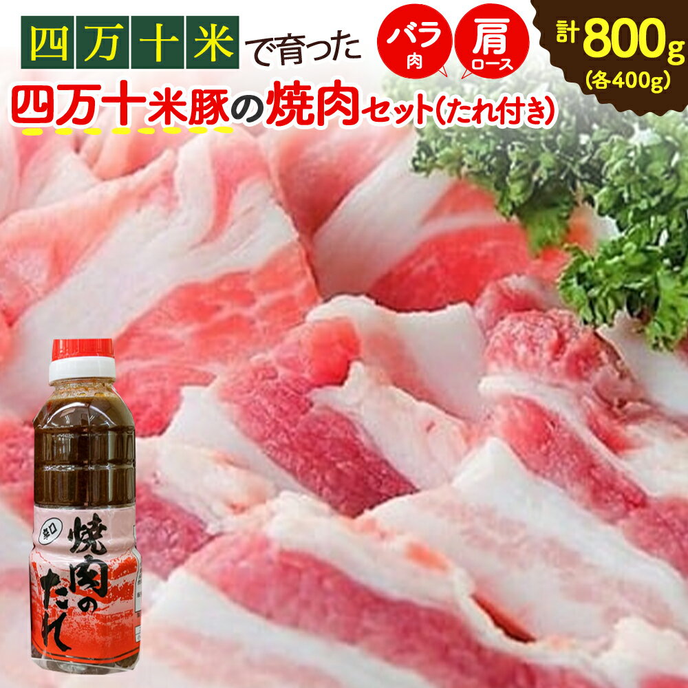 【ふるさと納税】Qjs-02 仁井田米で育ったブランド豚「しまんと米豚焼き肉セット」 国産 ぶた肉 豚肉 肉 お肉 国産豚肉 国産ぶた肉 焼肉 BBQ バラ肉 肩ロース たれ