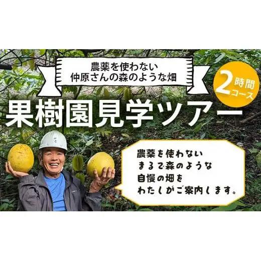 ＜1回1組限定プライベート体験ツアー！＞農薬を使わない、仲原さんの「森のような畑」OI-21-1
