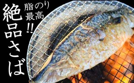 【骨取り】 大寒の極み サバ干物 5枚 1枚約200g 特大サイズ 鯖 さば 鯖 さば