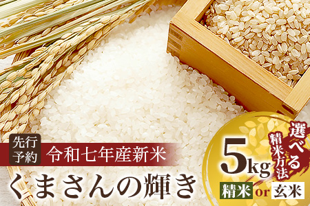 令和7年産【 白米 / 玄米 選べる 新米 5kg】 くまさんの輝き 5kg (令和7年10月中旬より順次発送) 新米 熊本県 多良木町 お米 5キロ 米 白米 精米 玄米