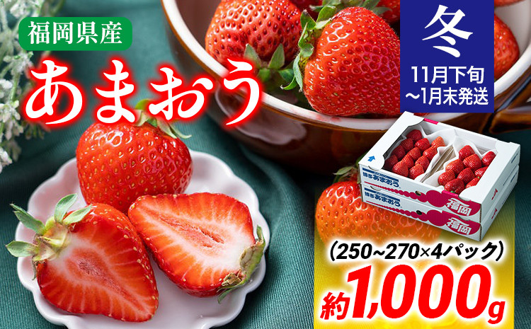 
【冬】あまおう 約1000g いちご 苺 フルーツ 九州産 冷蔵 送料無料 イチゴ 果物 ※北海道・沖縄・離島は配送不可 大木町産 南国フルーツ CO002
