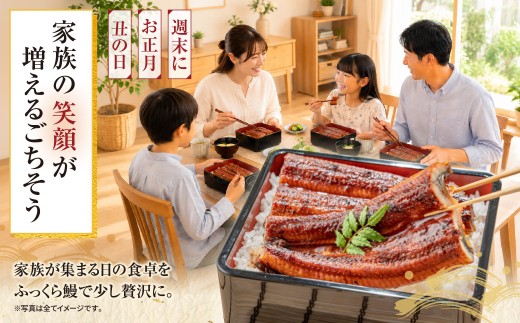AA61-324 健やか鰻 国産うなぎ蒲焼 (無頭) 6尾 (計930g以上) ★定期便・冬発送★ 九州産 国産鰻 うなぎ ウナギ 鰻 人気 おすすめ ひつまぶし 鰻 蒲焼き タレ 山椒 ランキング 