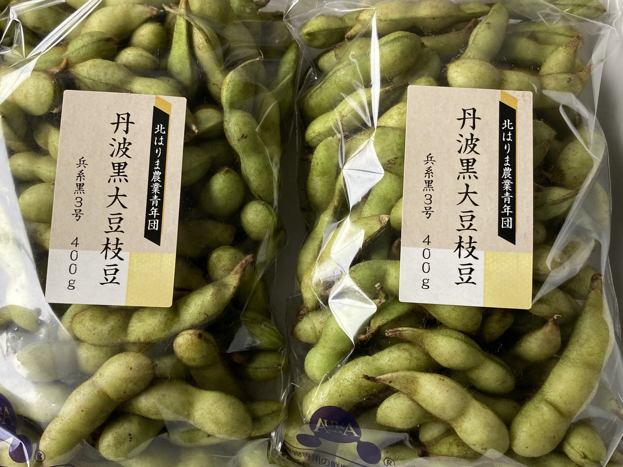 【季節限定】丹波黒大豆枝豆 朝収穫 毛取り洗浄済 さやのみ 1.6kg  化粧箱入り[949] 