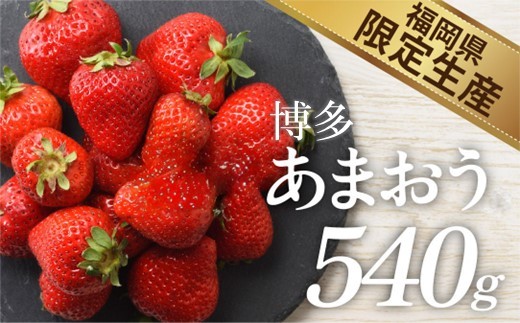 
                  人気１位獲得謝礼品★限定品★博多あまおう約５４０g（先行受付／２０２７年２月以降発送）.ZI441【あまおう】
                