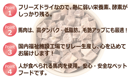 馬肉フリーズドライ ペットフード 25g×3袋【犬猫用 国産 無添加 無着色 高タンパク 低脂肪 ドッグフード キャットフード】