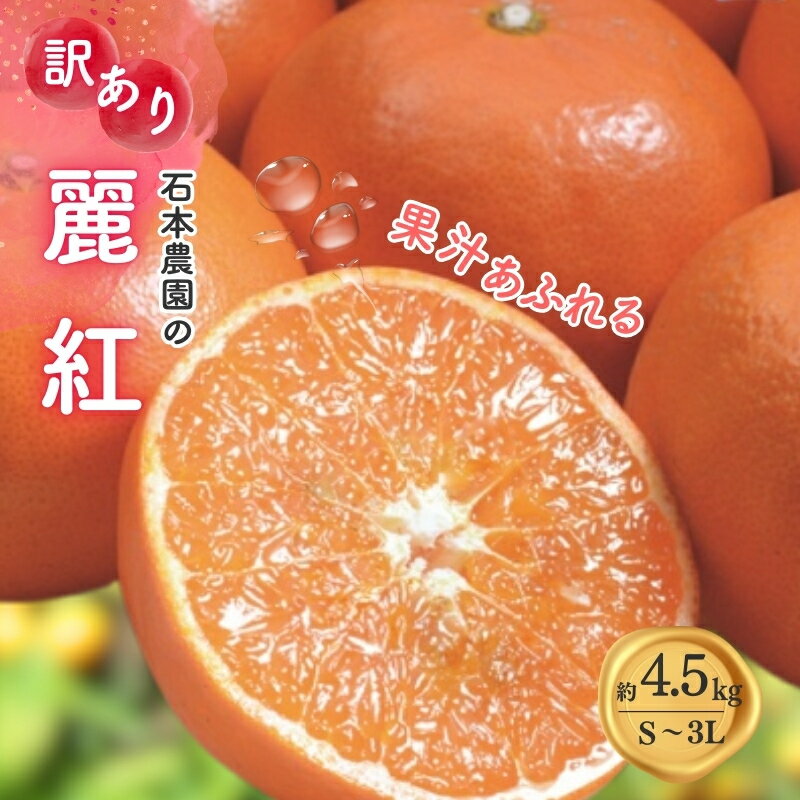 【ふるさと納税】 訳あり麗紅 石本農園の 麗紅(れいこう) 4.5kg S-3L サイズおまかせ 【2026年1月中旬から2月末頃までに順次発送】 家庭用 わけあり ワケアリ みかん ミカン 蜜柑 フルーツ 果物 くだもの 産地直送 甘い ジューシー 数量限定 送料無料