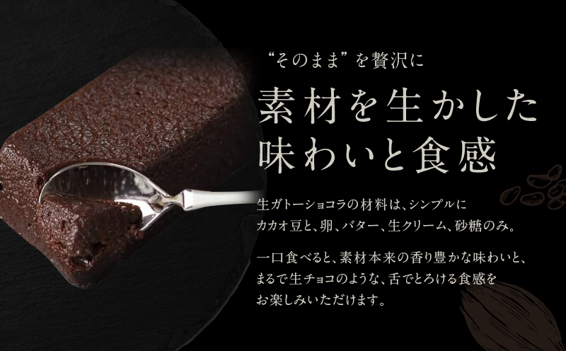 チョコレート専門店「MAGIE DU CHOCOLAT」至極の生ガトーショコラ【スイーツ チョコレート チョコレート菓子 焼き菓子 ガトーショコラ 生ガトーショコラ 濃厚 とろける 人気 おすすめ ギ