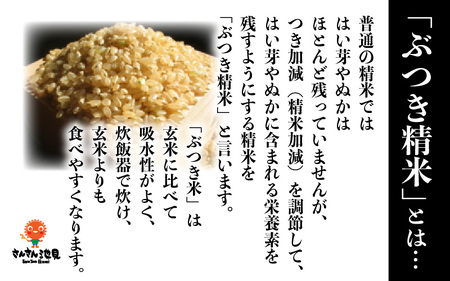 【先行予約】【令和7年産・新米】さんさん池見二代目の 福井県産 ハナエチゼン 10kg （無洗米）【2025年8月下旬以降順次発送予定】 [C-0213_05]