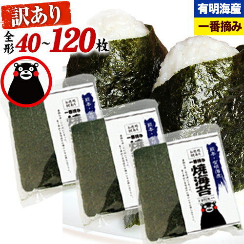 【ふるさと納税】 海苔 訳あり 一番摘み 海苔 全形 40枚〜120枚 有明海産 のり 熊本県産 選べる内容量 大容量 小分け 全形 選べる 40枚 80枚 120枚 《出荷時期をお選びください》 のり 初摘み 生活応援