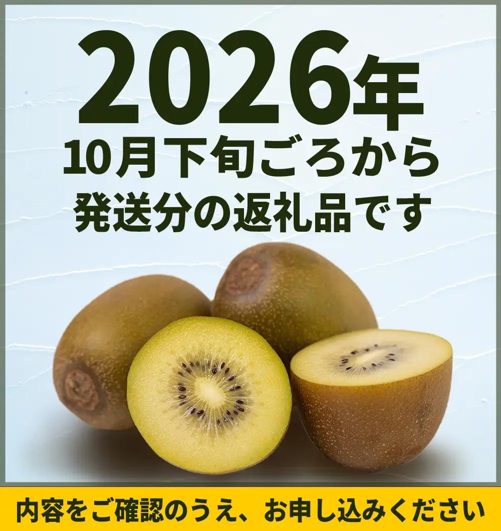 福岡県産 キウイ 甘うぃ 約1.4kg (9玉)  キウイ キウイフルーツ  kiwi 果物 フルーツ 送料無料 3W25