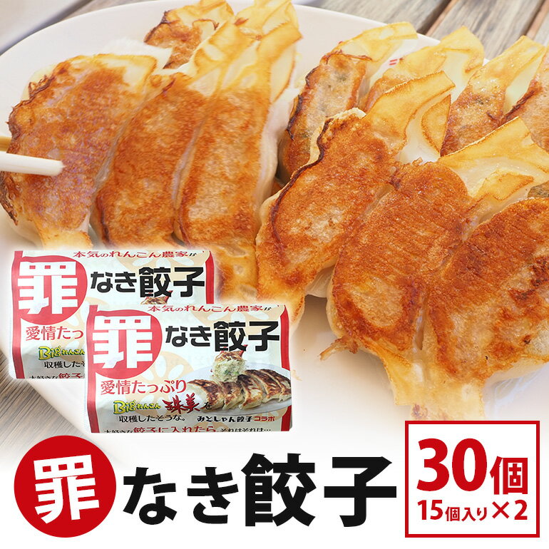 【ふるさと納税】【最高級Bigれんこん珠美使用】冷凍罪なき餃子（20g×15個入）2パックセット 餃子 れんこん ギョウザ レンコン ぎょうざ 蓮根 冷凍 パック セット 保存 おかず 惣菜 国産 77-E