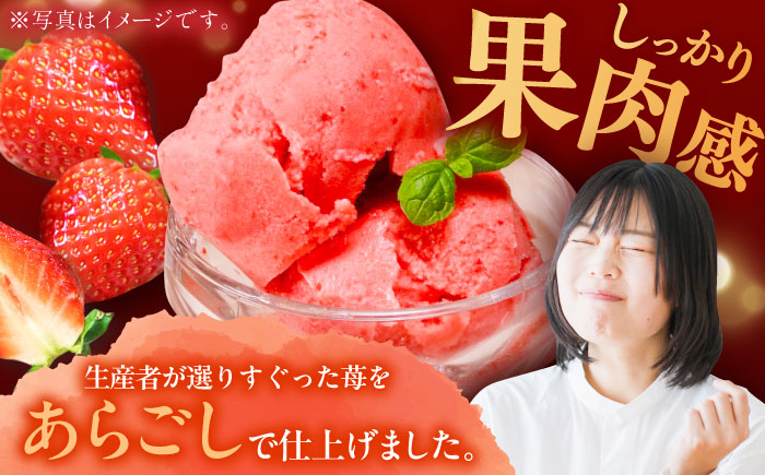 【先行予約】苺そのままの甘酸っぱさ！THE ICHIGO  プレミアム苺シャーベット 計8個 / いちご イチゴ アイス デザート / 佐賀県 / さかもとさんの畑[41ABAA019]