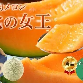 メロン 赤肉メロン 北の女王 秀品 北海道産【約1.6kg×1玉】【先行予約】