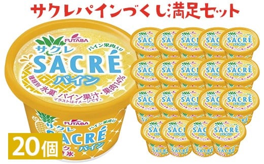 
サクレパインづくし満足セット　20個｜アイス かき氷 シャーベット デザート
※着日指定不可
※離島への配送不可
