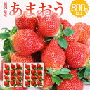 【ふるさと納税】福岡県産 あまおう 2パック 合計約800g以上 いちご 苺 フルーツ 果物 九州産 糸田町産 送料無料 【2024年12月-2025年3月下旬発送】