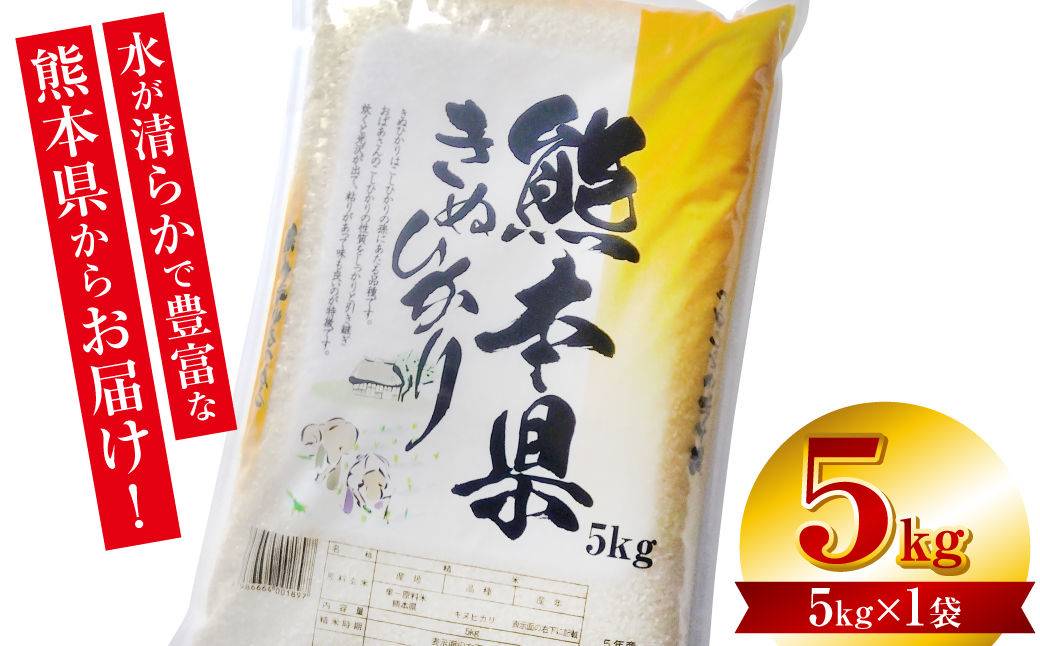 【先行予約】 《令和8年産》 熊本県産 きぬひかり 5kg (5kg×1袋) 米 お米 精米 白米 ごはん ご飯 おにぎり お弁当 熊本県 八代市 【2026年9月上旬より順次発送】
