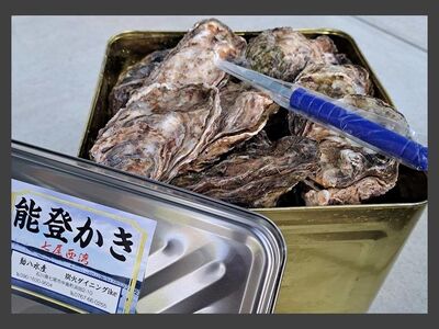 石川県七尾産 能登かき 殻付き 半缶（40～50個） 加熱調理用 | 牡蠣 ※2027年1月～発送