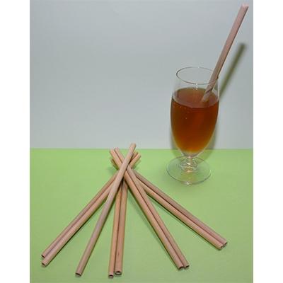 ふるさと納税 木津川市 【京都産竹使用】口当たりまろやか竹ストロー(15本入り・洗浄ブラシ付き) |  | 01