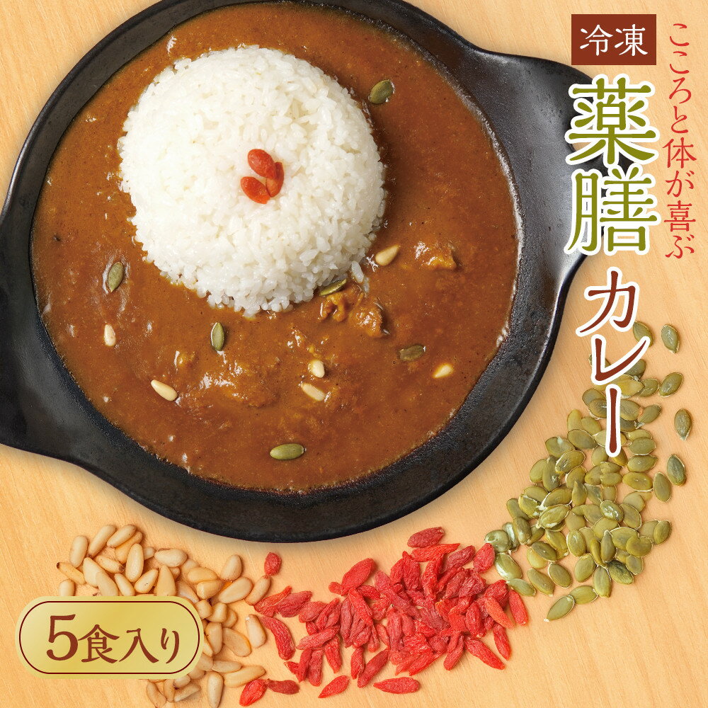 【ふるさと納税】冷凍薬膳カレー　5食入り | 麺 食品 加工食品 人気 おすすめ 送料無料