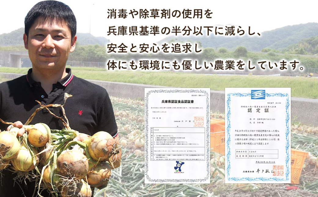淡路島の牛肉とたまねぎ使用　今井ファームビーフカレー　200ｇ×10食　　[レトルトカレー 保存食 ご当地カレー レトルト ビーフカレー レトルトカレー レトルト ビーフカレー レトルトカレー レトル
