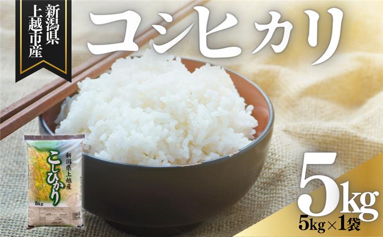 上越市産 新潟 コシヒカリ 5kg こしひかり お米 精米 米 ご飯 最短3日で発送