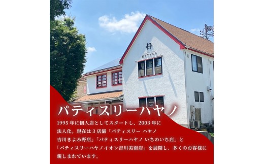 008-013S　はやのみるまる１セット（１０個入り）