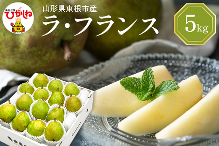 【令和7年産 先行予約】西洋梨ラフランス5kg　秀品　化粧箱入り 山形県 東根市 東根農産センター提供 hi027-194-1 ラフランス 洋梨 洋ナシ フルーツ 果物 くだもの 化粧箱 産地直送 期間限定 特産品 お取り寄せ グルメ 旬 秋 東北 山形県 東根市 送料無料