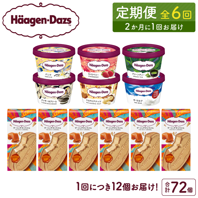 ＜全6回定期便・隔月＞ハーゲンダッツ『ミニカップ＆クリスピーサンドセット(合計72個)』アイスクリーム アイス スイーツ デザート_H0016-141