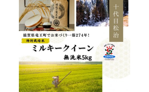 新米【 数量限定 】 ミルキークイーン 無洗米 5kg 縁起の竜王米  ( 令和7年産 新米 無洗米 5kg お米 おこめ ごはん 米 特別栽培米 ブランド米 ライス こだわり米 ギフト 国産 縁起の竜王米 滋賀県竜王町 )