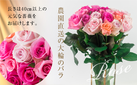 バラ 花束 大輪 ピンク 50本 (40cm) ピンクミックス ブーケ 薔薇 ローズ 生花 観賞用 プレゼント 花 ギフト 誕生日 植物 フラワー 土壌栽培 産地直送 田原市 人気 切り花 切花 25