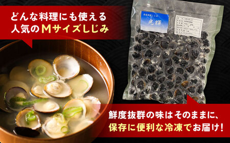 【全6回定期便】産地直送！宍道湖産 冷凍大和しじみMサイズ4kg(500g×8) 砂抜き処理済 島根県松江市/りすたむmatsue[ALDE014]