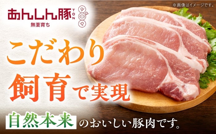 あんしん豚の厚切りロース肉。「安心がいちばん」をコンセプトに、無薬・自然育ちで育てました。