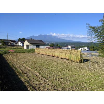 ふるさと納税 北杜市 白州米 亀の尾『玄米』3kg |  | 02