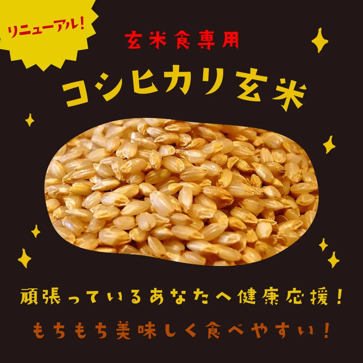 【パックご飯】 玄米 国産こしひかり 無添加一分づき 120g 計36個 パックご飯