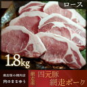 【ふるさと納税】＜商店街の精肉店＞「肉のまるゆう」がオススメする＜網走産＞四元豚「網走ポーク」ロース 1.8kg 【 ふるさと納税 人気 おすすめ ランキング 四元豚 網走ポーク ロース 豚ロース 豚肉 真空パック 北海道 網走市 送料無料 】 ABU015