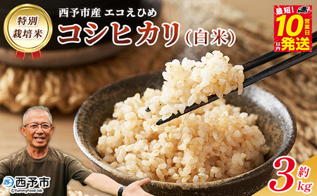 ＜令和7年産 西予市産 特別栽培米 エコえひめ コシヒカリ 玄米 約3kg＞国産 農薬・化学肥料不使用 一等米 3キロ 愛媛県産 こしひかり お米 米 コメ げんまい 産地直送 送料無料 シゲちゃん農園 愛媛県 西予市【常温】『最短10営業日以内に順次発送予定』NSN0002