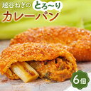 【ふるさと納税】No.092 越谷ねぎのとろ～りカレーパン（6個入り） ／ 横綱ねぎ 贅沢 自家製 ねぎカレー 送料無料 埼玉県