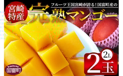 
            期間限定！2025年発送 ＜宮崎特産！国富町産の完熟マンゴー 2玉（2L×2玉）＞2025年4月中旬～6月中旬迄に順次出荷
          