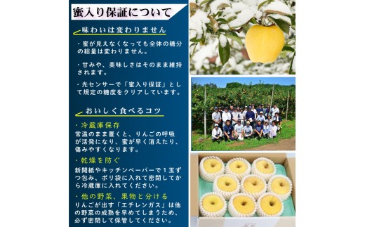 【先行予約】 訳ありりんご はるか 蜜入り保証 糖度15度以上 家庭用 そばかす冬恋はるか 約2.5kg 12月上旬発送開始 光センサー選果 蜜入り 甘い りんご 黄色 たっぷり蜜 お歳暮 ギフト は