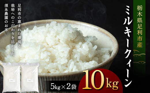令和7年産 栃木県足利市産ミルキークィーン10kg〈5kg×2袋〉 精米 白米 米 こめ ごはん 食品 栃木県 足利市  F7Z-1976