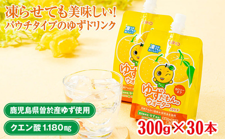 ゆずだもん。ウォーター(300g×30本、パウチタイプ) ゆず ドリンク パウチ【株式会社財宝】A452