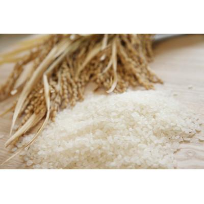 ふるさと納税 十日町市 【毎月定期便】魚沼産コシヒカリ　精米[2kg×1袋]全12回 |  | 02