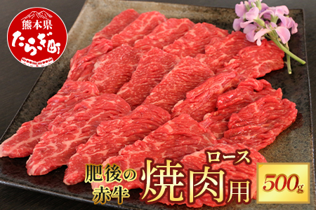 熊本県 肥後 の 赤牛 ロース 焼肉用 500g 【 やわらかい ロース 牛肉 肉 冷凍 多良木町 肥後 特産 肉 焼き肉 やきにく 和牛 赤身 スライス 】 030-0709