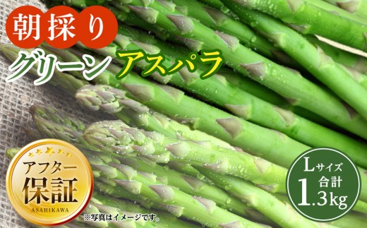【先行予約】朝採り グリーンアスパラ L 1.3kg (2027年5月下旬発送開始) 【 アスパラ アスパラガス グリーンアスパラ 朝採り 直送 産地直送 旬 春 北海道 とれたて お取り寄せ 冷蔵配送 冷蔵 旭川市 】_01706