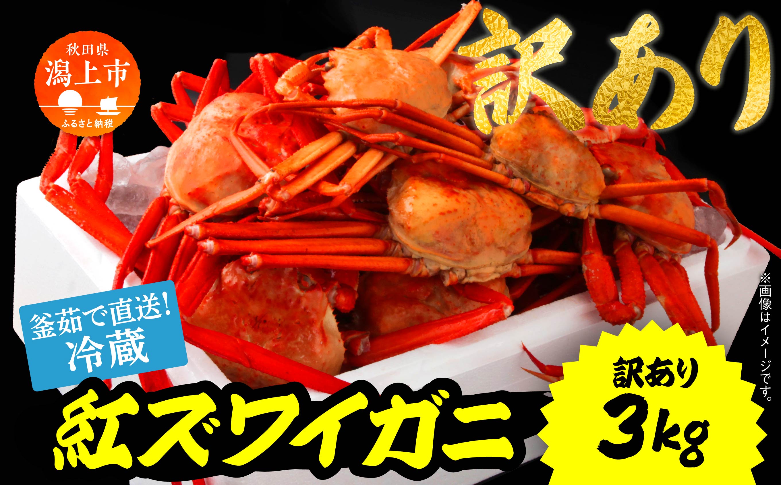 【訳あり】日本海沖産　紅ズワイガニ3kg 冷蔵