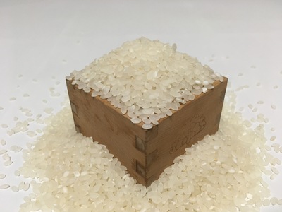 【令和7年産 新米予約】棚田米コシヒカリ 「オバステ観月米」 5kg 最高級コシヒカリ 減農薬こしひかり 千曲市産コシヒカリ 信州産コシヒカリ