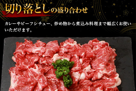 宮崎牛 切り落とし 1kg TK-93 [宮崎県 椎葉村 宮崎牛 和牛 黒毛和牛 牛肉 ぎゅうにく 牛 うし ぎゅう 肉 お肉 にく おにく スライス肉 精肉 切り落とし肉 切り落とし 赤身肉 霜降り