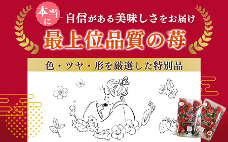 奈良県西吉野産 大和なでし苺 古都華 約270g×4パック（2箱） | フルーツ くだもの 果物 いちご イチゴ 大和なでし苺 ことか コトカ 古都華 奈良県 五條市和なでし苺 ことか コトカ 古都華