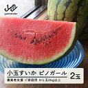 【ふるさと納税】≪先行予約≫ 農業者支援 ご家庭用 2025年 山形県産 小玉スイカ ピノガール 2玉(2kg以上×2玉) すいか スイカ 西瓜 果物 野菜 訳あり F21A-428